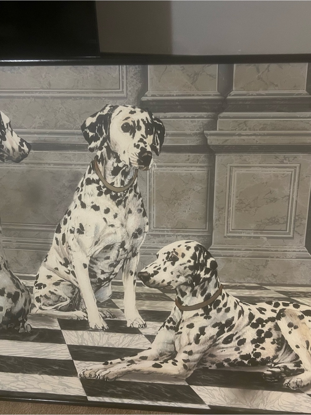 Dalmatian Duo Black & White Canvas Art by